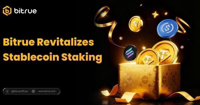 Bitrue Meningkatkan Suku Bunga Kepemilikan Stablecoin dalam Pembaruan Produk