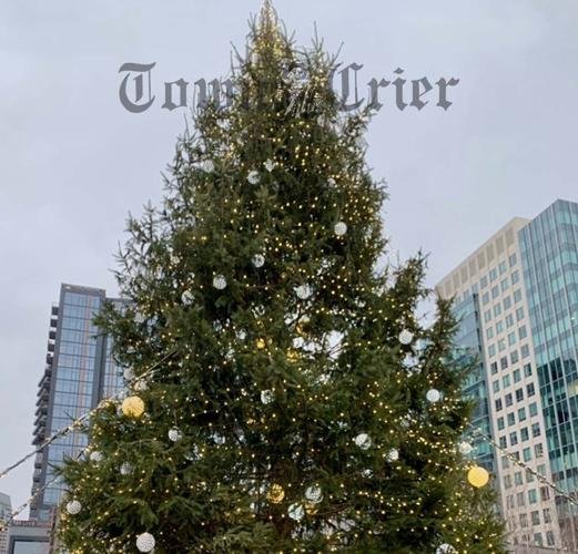 Gaya hidup Upacara penyalaan pohon akan menerangi bulan Desember