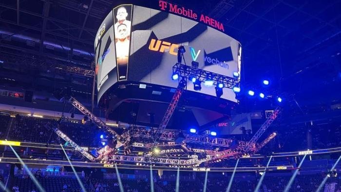 UFC et VeChain : Une alliance historique pour l'essor de la blockchain ... Prediksi VeChain UFC 322 di DraftKings