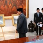 Anak Panda pertama di Indonesia menjadi simbol hubungan Indonesia dan Tiongkok