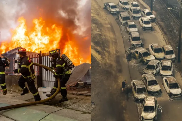 GlobalNews Dunia - Video Online