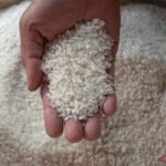 Indonesia berencana menerapkan kebijakan harga tunggal untuk beras mulai tahun 2026.