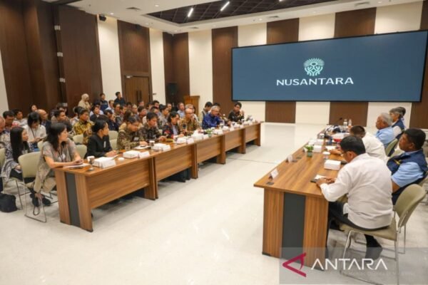Perusahaan-perusahaan Jepang menargetkan investasi di ibu kota baru Indonesia, IKN.