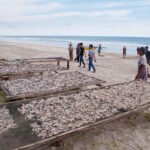 Apakah perubahan iklim mendorong nelayan Indonesia untuk melakukan tindak kejahatan?