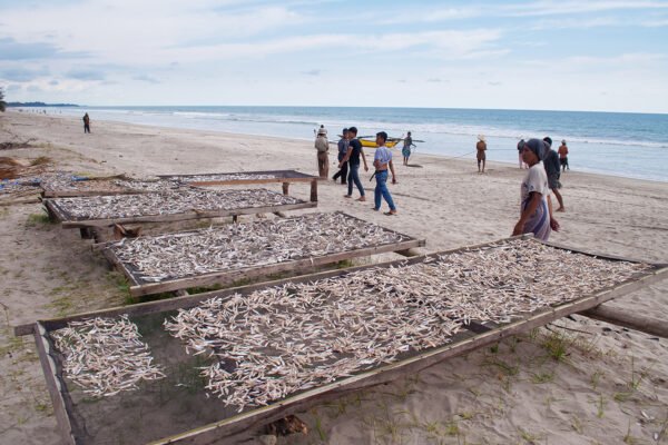 Apakah perubahan iklim mendorong nelayan Indonesia untuk melakukan tindak kejahatan?