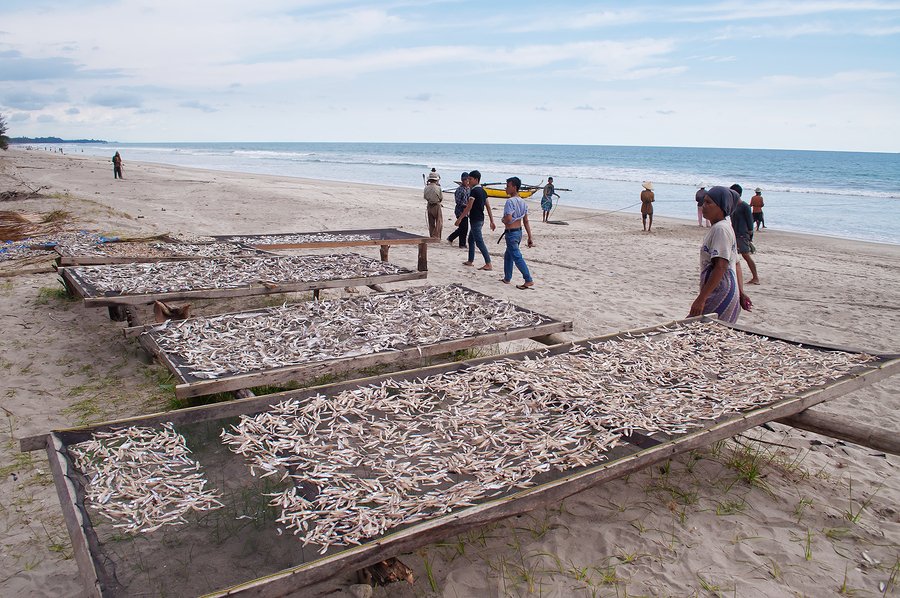 Apakah perubahan iklim mendorong nelayan Indonesia untuk melakukan tindak kejahatan?