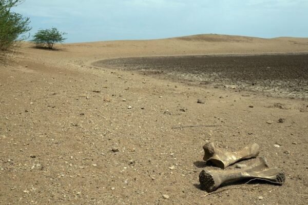 Dunia memasuki era ‘kebangkrutan air global’