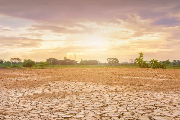 El Niño, Perubahan Iklim, dan Dampaknya terhadap Indonesia