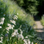 Jalur pendakian bunga liar terbaik di dunia