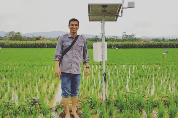 Godzilla El Niño Mengancam Pertanian Indonesia, Pakar UGM Menjelaskan Dampak dan Strategi Mitigasi