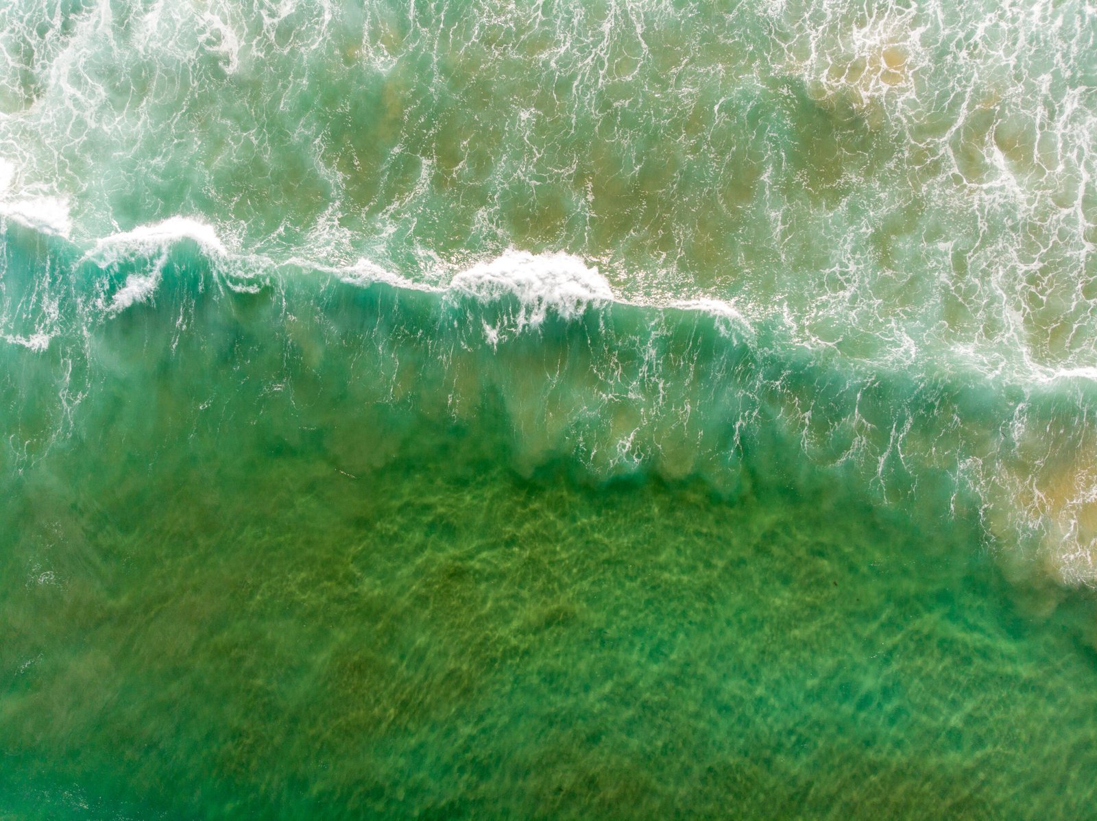 Memperkuat komunikasi sains untuk kesehatan planet di Indonesia