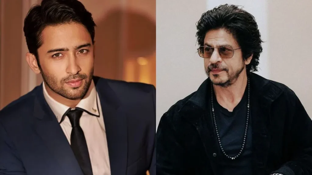 Mengapa Shaheer Sheikh dijuluki "Shah Rukh Khan-nya Indonesia"? Aktor tersebut mengungkapkannya