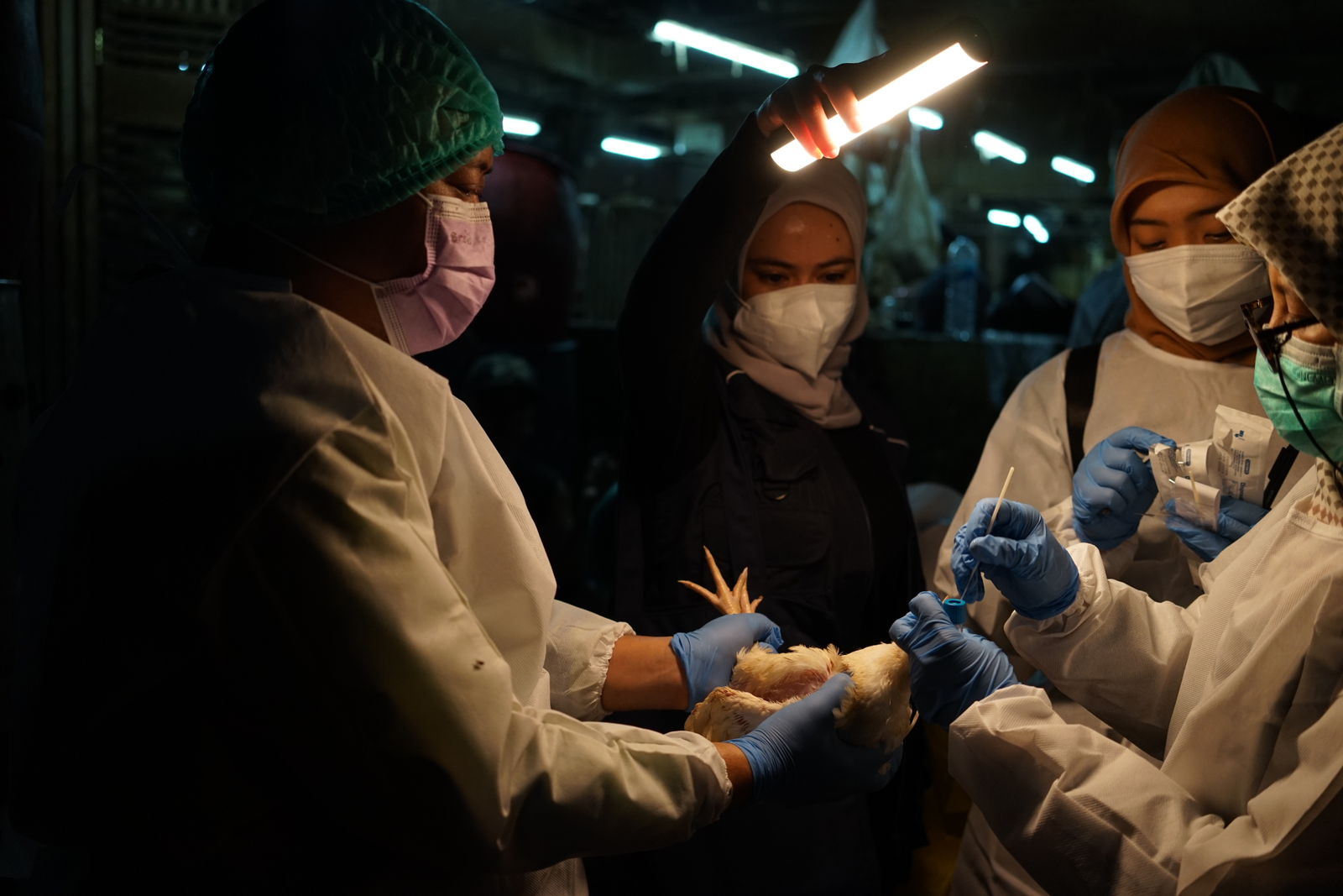 WHO memuji kepemimpinan Indonesia dalam upaya One Health untuk mengurangi risiko penyakit zoonosis prioritas