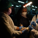 WHO memuji kepemimpinan Indonesia dalam upaya One Health untuk mengurangi risiko penyakit zoonosis prioritas