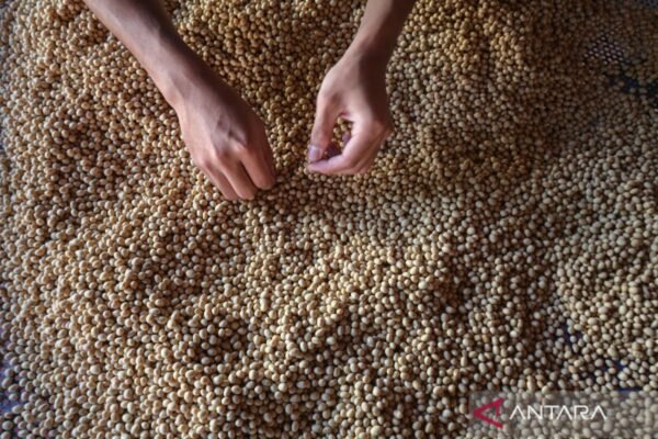 Indonesia memperkuat kerja sama di bidang industri melalui pendanaan penelitian