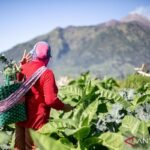 Perekonomian Indonesia tumbuh 5,11 persen berkat konsumsi yang kuat