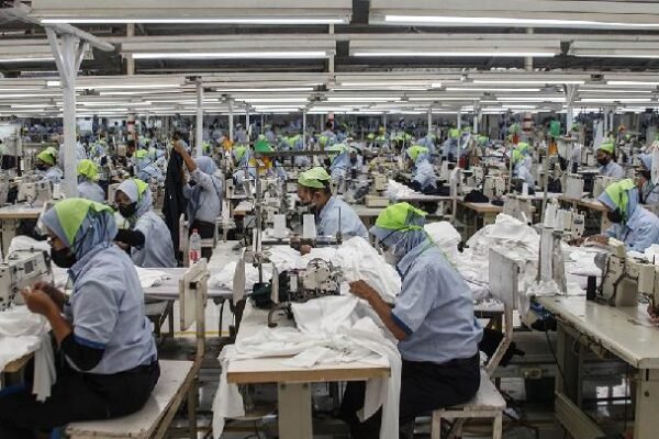 Pertumbuhan Ekonomi Indonesia Belum Diimbangi dengan Penyerapan Tenaga Kerja