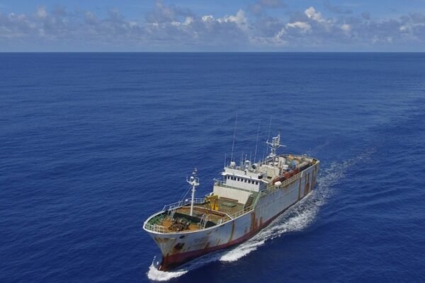 Sea Shepherd Global