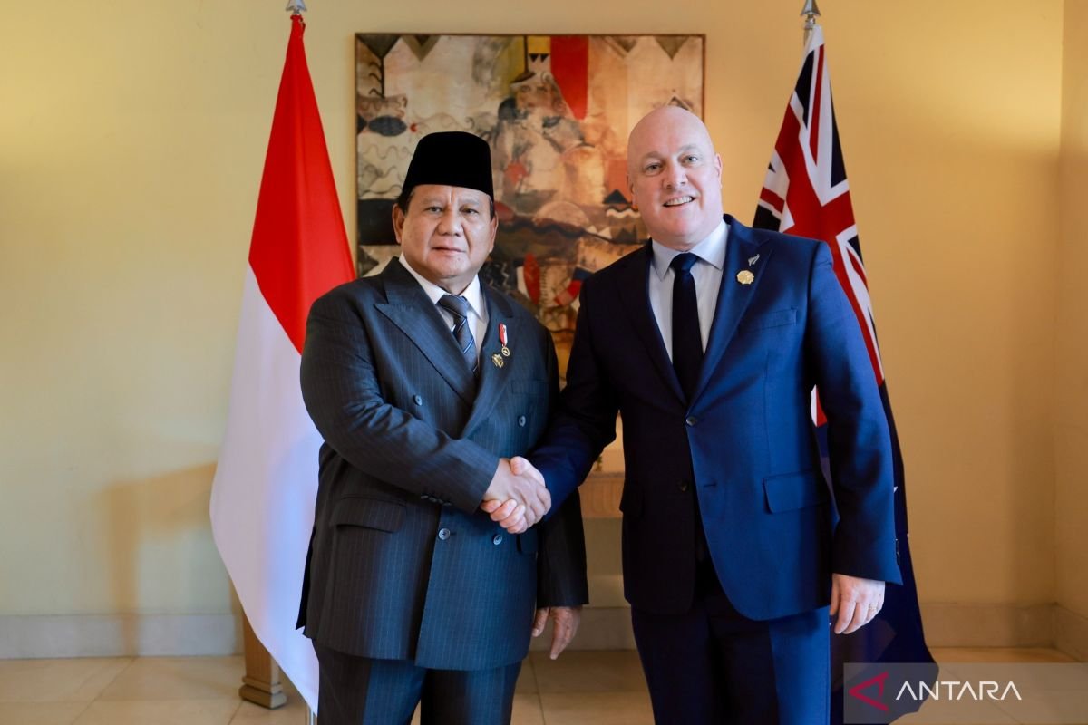 Indonesia mengupayakan kemitraan dengan Selandia Baru di bidang sumber daya manusia di sektor kesehatan